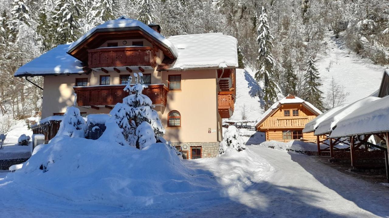 Apartma In Bungalov Jezerci Gozd Martuljek Exteriör bild